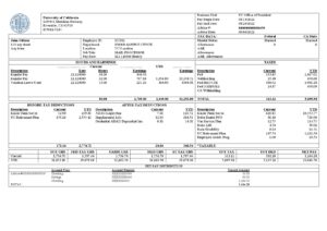 USA Editable Templates 16 USA University of California educational company pay stub Word and PDF template