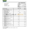 Uruguay Itau bank statement template in Word and PDF format