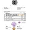 Venezuela Banco Central de Venezuela bank statement easy to fill template in Excel and PDF format