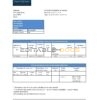 Yemen Gulf Bank statement template in Excel and PDF format