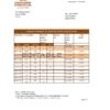 Yemen International bank statement template in .xls and .pdf file format