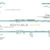 USA Accupay Demo Inc. payroll company pay stub Word and PDF template