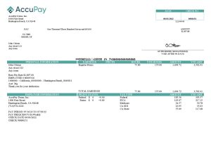 USA Editable Templates 16 USA Accupay Demo Inc. payroll company pay stub Word and PDF template