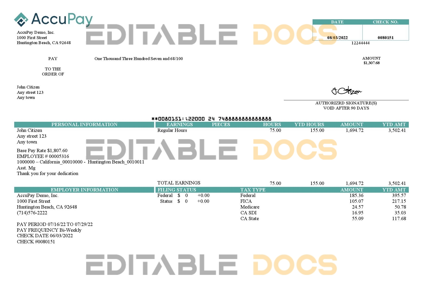 USA Accupay Demo Inc. payroll company pay stub Word and PDF template