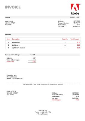 USA Adobe invoice template in Word and PDF format, fully editable