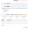 USA Alibaba invoice template in Word and PDF format, fully editable