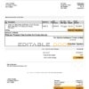 USA Amazon invoice template in Word and PDF format, fully editable