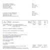 USA Apple invoice template in Word and PDF format, fully editable