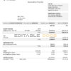 Australia Shield Geo consulting company pay stub Word and PDF template