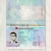 Authentic Albania PSD Passport Template