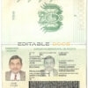 Authentic Bolivia PSD Passport Template