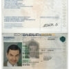 Authentic France PSD Passport Template (version 2)