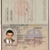 Authentic Germany PSD Passport Template (2005-2017)
