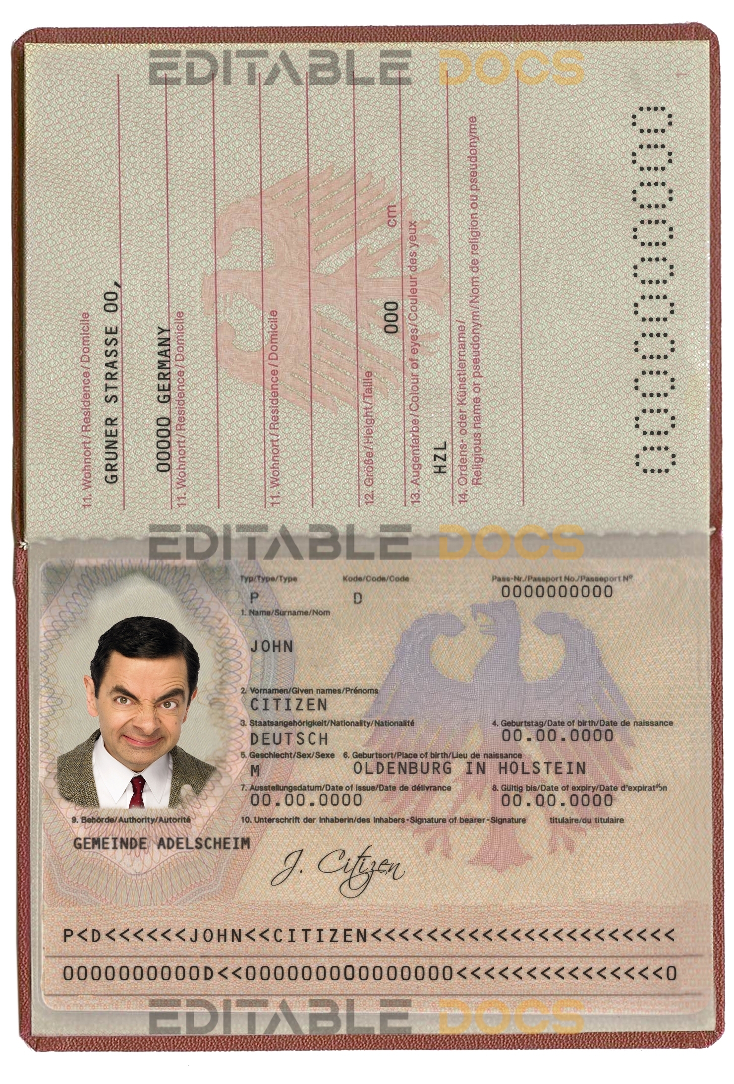 Authentic Germany PSD Passport Template (2005-2017)