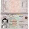 Authentic Hungary PSD Passport Template (version 2)