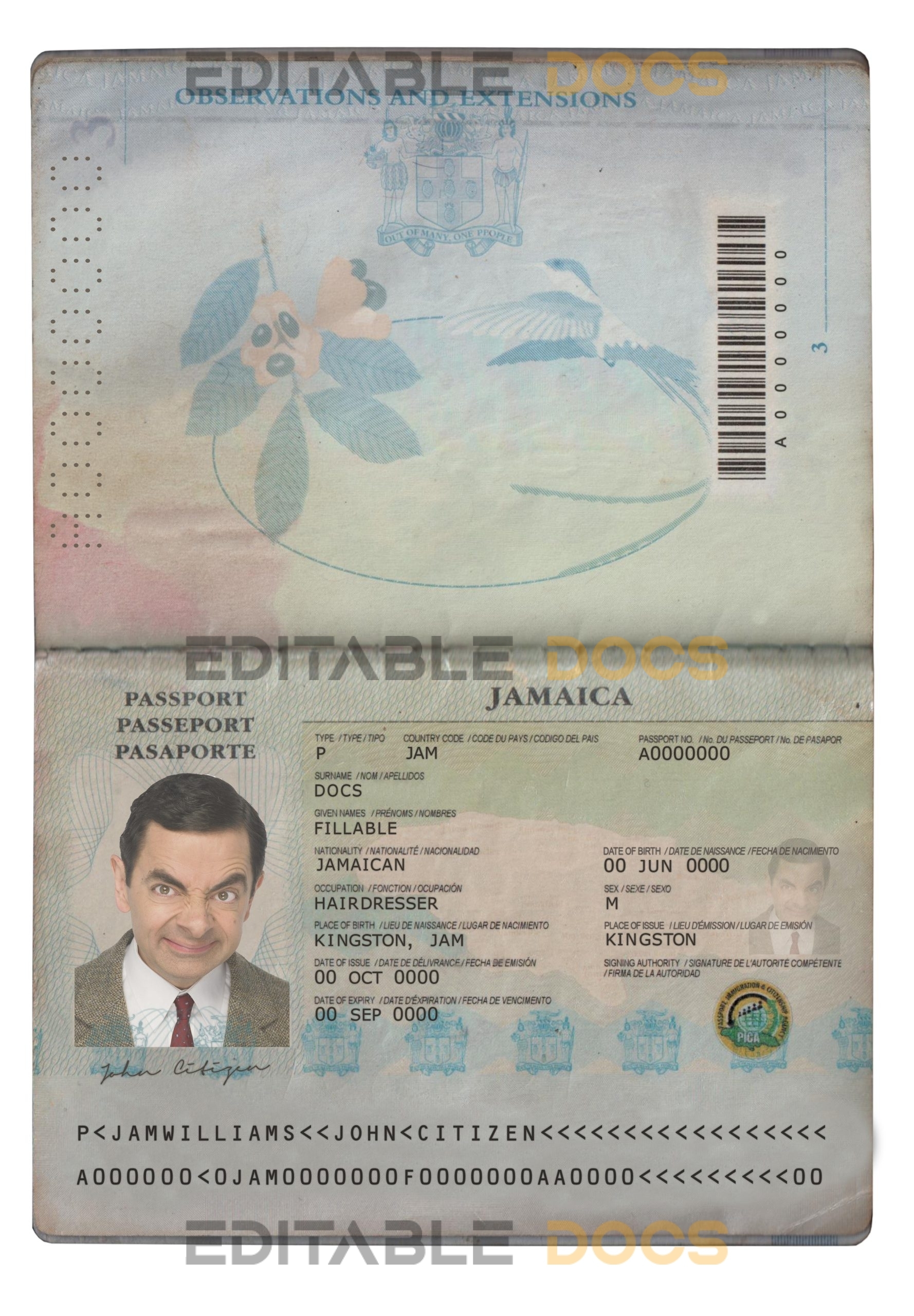 Authentic Jamaica PSD Passport Template