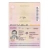 Authentic Malaysia PSD Passport Template (2010-2017)