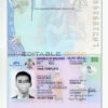 Authentic Maldives PSD Passport Template