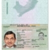 Authentic Peru PSD Passport Template
