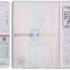 Authentic Russia Standard PSD Passport Template