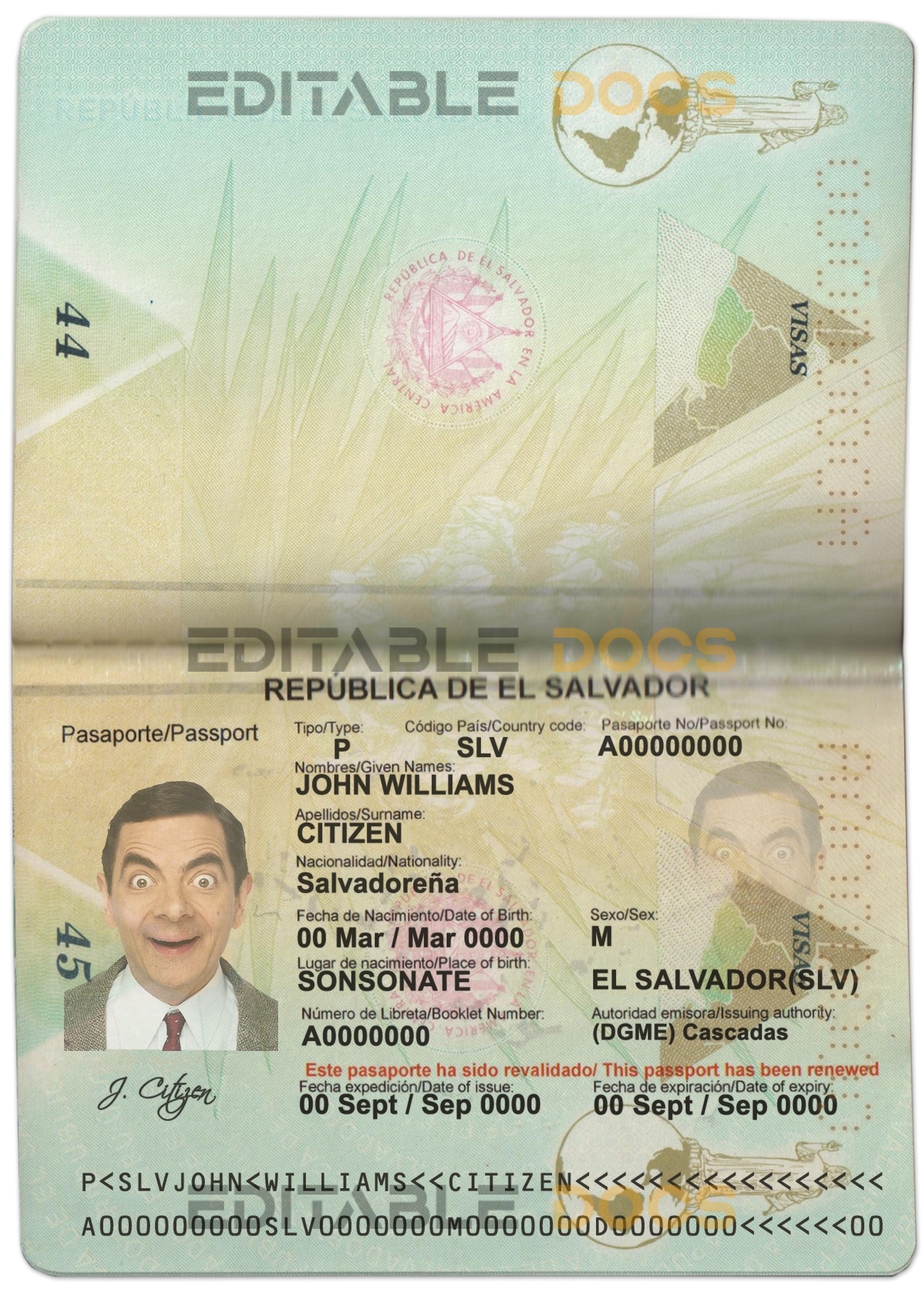 Authentic Salvador PSD Passport Template
