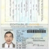 Authentic South Africa PSD Passport Template (1996-2009)
