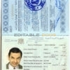 Authentic Syria PSD Passport Template