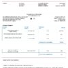 USA Bank of America invoice template in Word and PDF format, fully editable