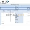USA Big Box Technologies technology company pay stub Word and PDF template