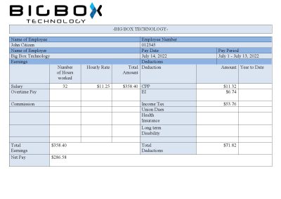 USA Big Box Technologies technology company pay stub Word and PDF template