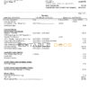 China Mobile Limited payment invoice template in .doc and .pdf format, fully editable