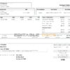USA New York earnings statement Word and PDF template