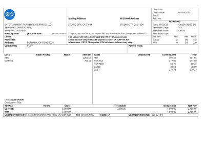 USA Entertainment Partners Enterprises financial company pay stub Word and PDF template