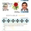Fake Australia New South Wales Driver License Template | PSD Layer-Based