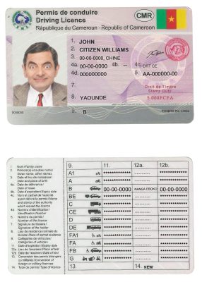 Fake Cameroon Driver License Template