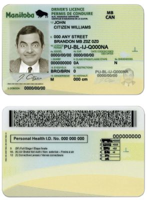 Fake Canada Manitoba Driver License Template | PSD Layer-Based