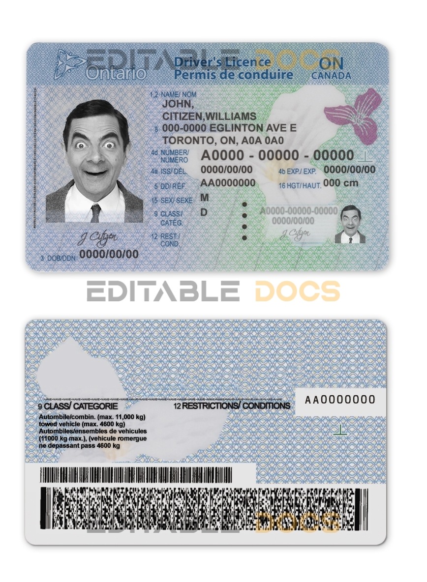 Fake Canada Ontario Driver License Template (2018 – present) | PSD Layer-Based