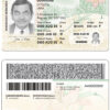 Fake Canada province Saskatchewan Driver License Template | PSD Layer-Based