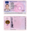 Fake France Driver License Template | PSD Layer-Based