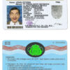 Fake Indonesia Driver License Template | PSD Layer-Based