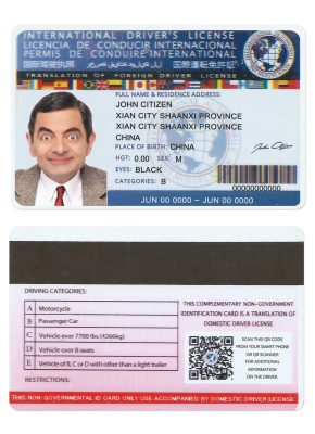 Fake International Driver License Template