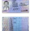 Fake Lithuania (Litva) Driver License Template | PSD Layer-Based