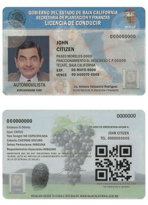Fake Mexico Baja California Driver License Template