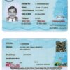 Fake Pakistan Sindh province Driver License Template (2016 – present) | PSD Layer-Based