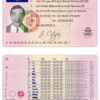 Fake Portugal Driver License Template | PSD Layer-Based