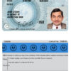 Fake South Australia Driver License Template | PSD Layer-Based