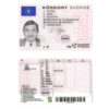 Fake Sweden Driver License Template (2009-2016) | PSD Layer-Based
