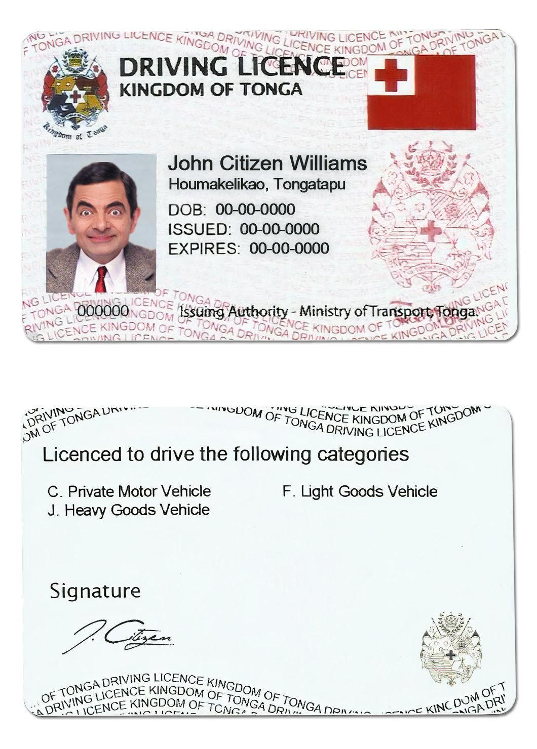 Fake Tonga Driver License Template | PSD Layer-Based
