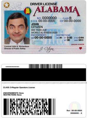 Fake USA Alabama Driver License Template