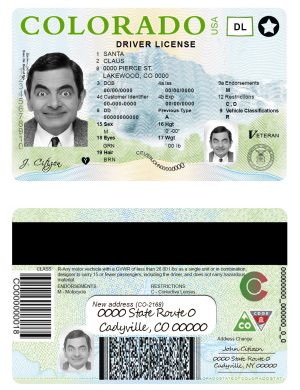 Fake USA Colorado Driver License Template